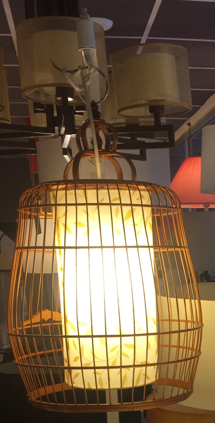 Tall narrow specialty lamp with cone shade